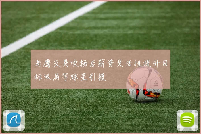 老鹰交易吹杨后薪资灵活性提升目标浓眉等球星引援
